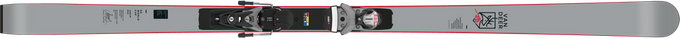 Sjezdové lyže Van Deer GS FIS WC 30 R22 WC + Spx 12 Rockerace GW B80 Grey - 2023/24