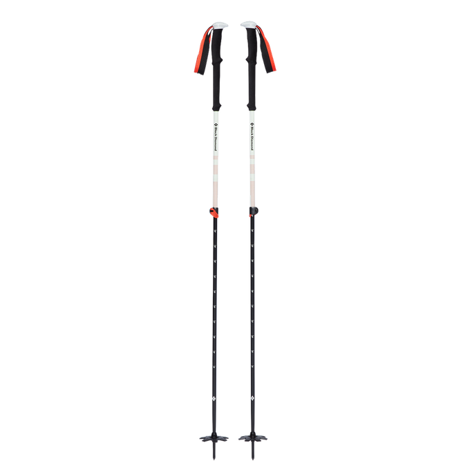 Turistické Hole Black Diamond Expedition 2 Ski Poles  - 2023/24