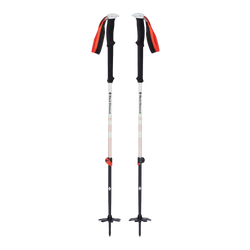 Turistické Hole Black Diamond Expedition 2 Ski Poles - 2023/24