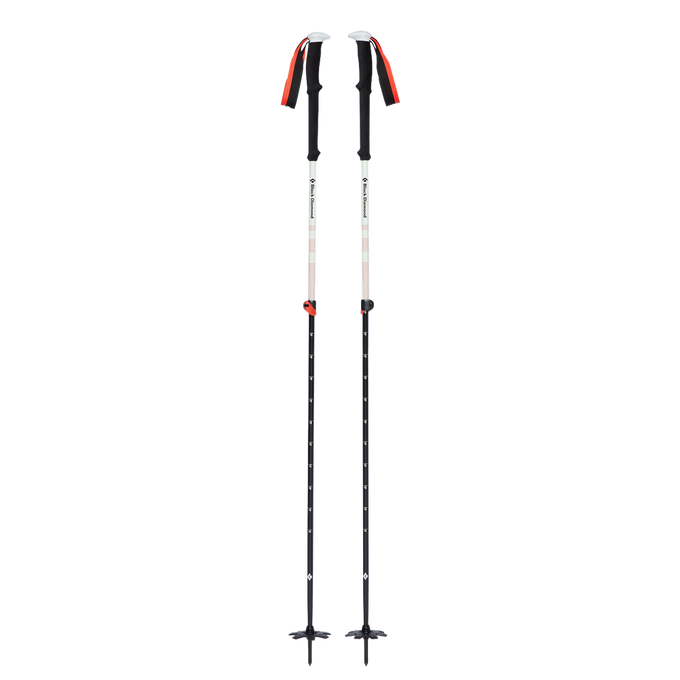 Turistické Hole Black Diamond Expedition 2 Ski Poles - 2023/24