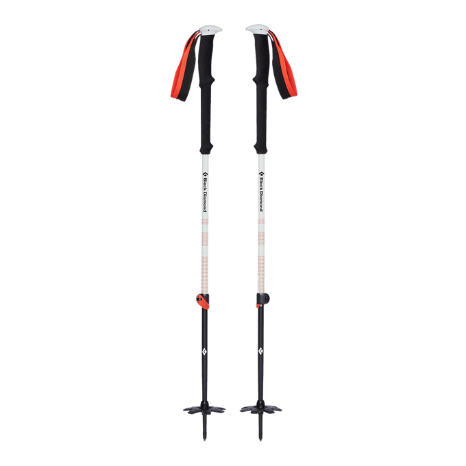 Turistické Hole Black Diamond Expedition 2 Ski Poles - 2023/24