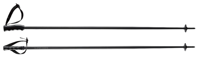 Sjezdové hole HEAD Multi Black/Black - 2025/26