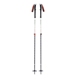Turistické Hole Black Diamond Expedition 2 Ski Poles - 2023/24
