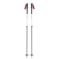 Turistické palice Black Diamond Expedition 2 Ski Poles  - 2023/24